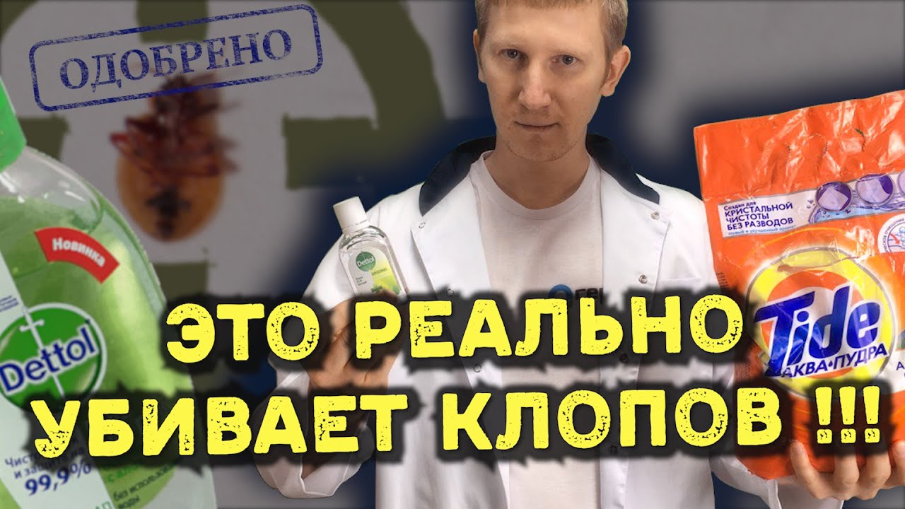 Как избавиться от клопов в квартире - эффективные методы самостоятельно!